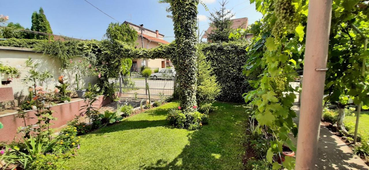 Exclusive Apartamento Paraćin Exterior foto